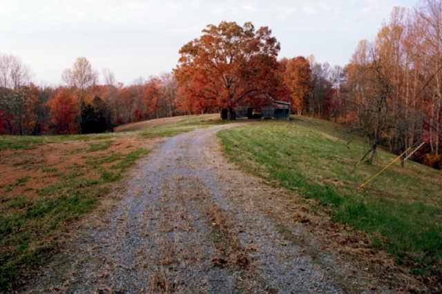 427 Hurricane Ridge Road Smithville, TN 37166 - Photo 4 of 11 Gallery Image 4