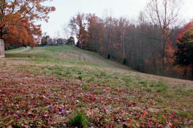 427 Hurricane Ridge Road Smithville, TN 37166 - Photo 7 of 11 Gallery Image 7