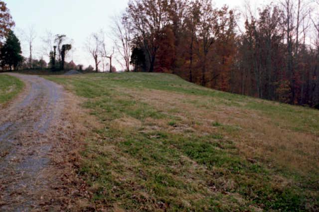 427 Hurricane Ridge Road Smithville, TN 37166 - Photo 9 of 11 Gallery Image 9