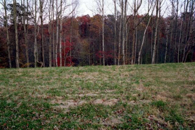 427 Hurricane Ridge Road Smithville, TN 37166 - Photo 10 of 11 Gallery Image 10