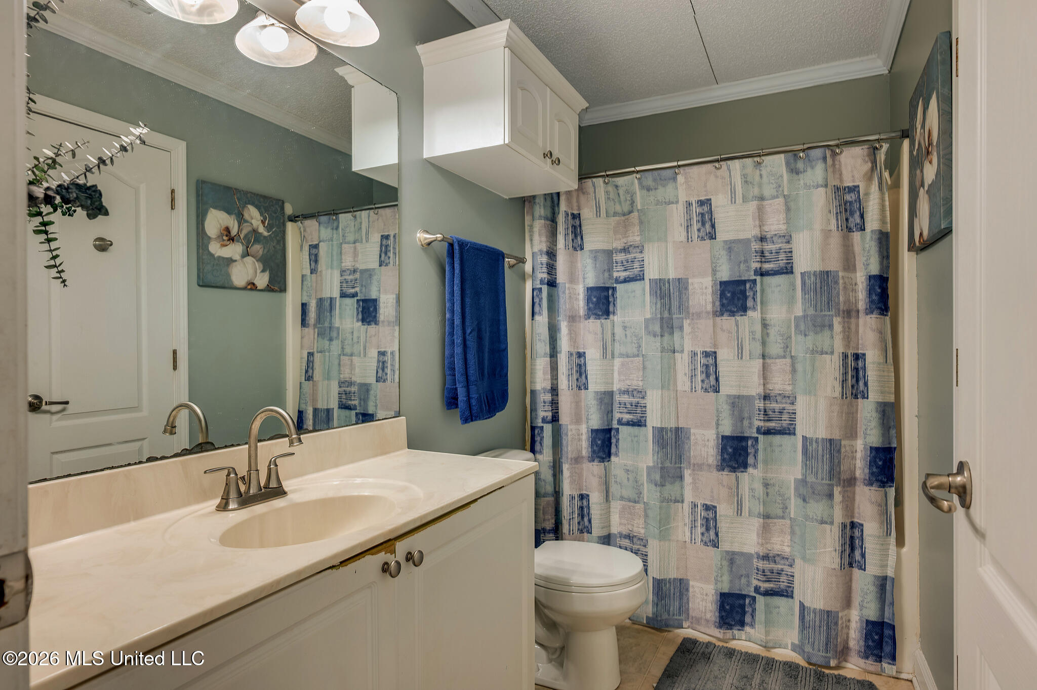 403 Chenoa Avenue Carthage, MS 39051 - Photo 5 of 6 20260223_403ChenoaAve-13_Web