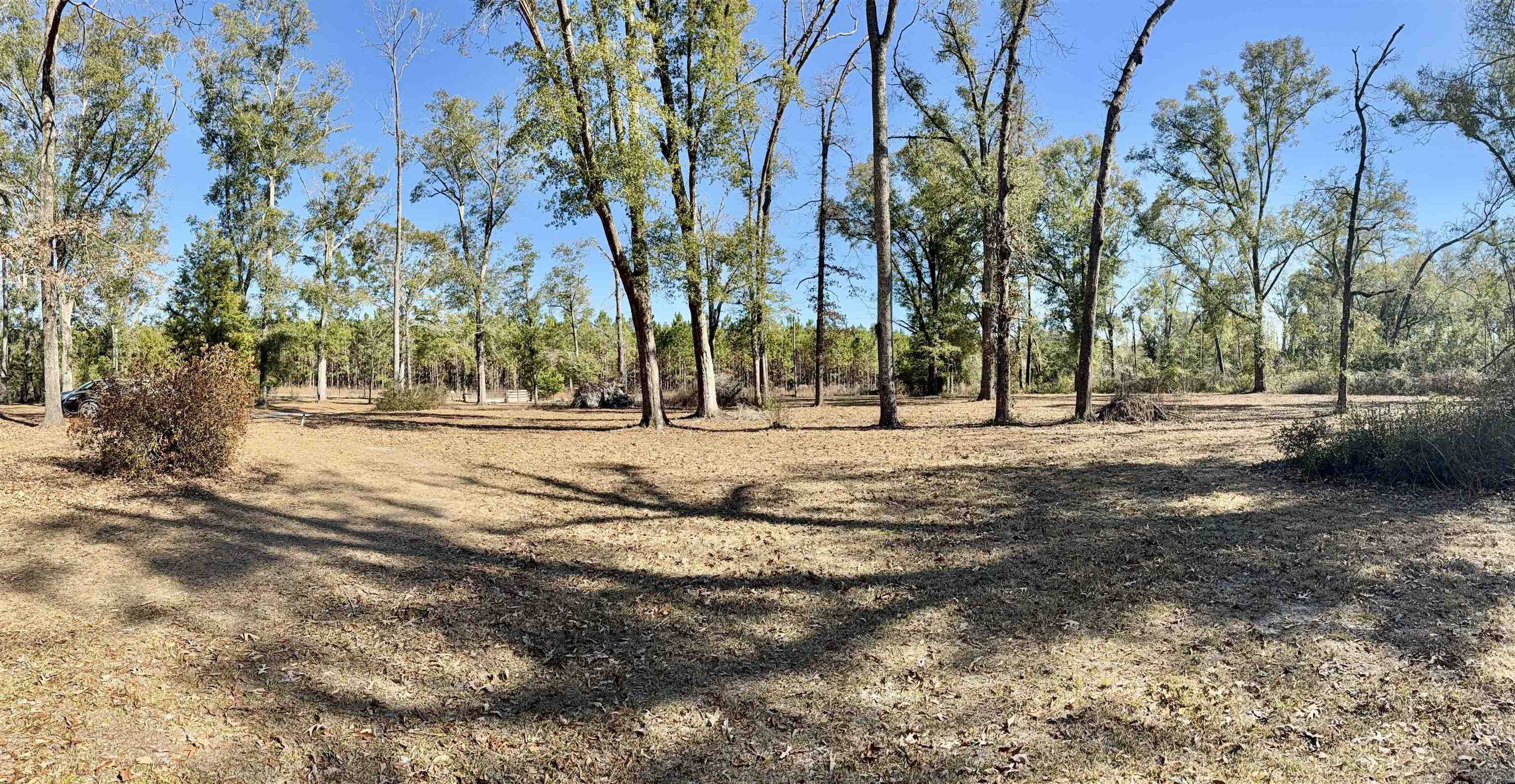 18865 89th Road McAlpin, FL 32062 - Photo 2 of 22