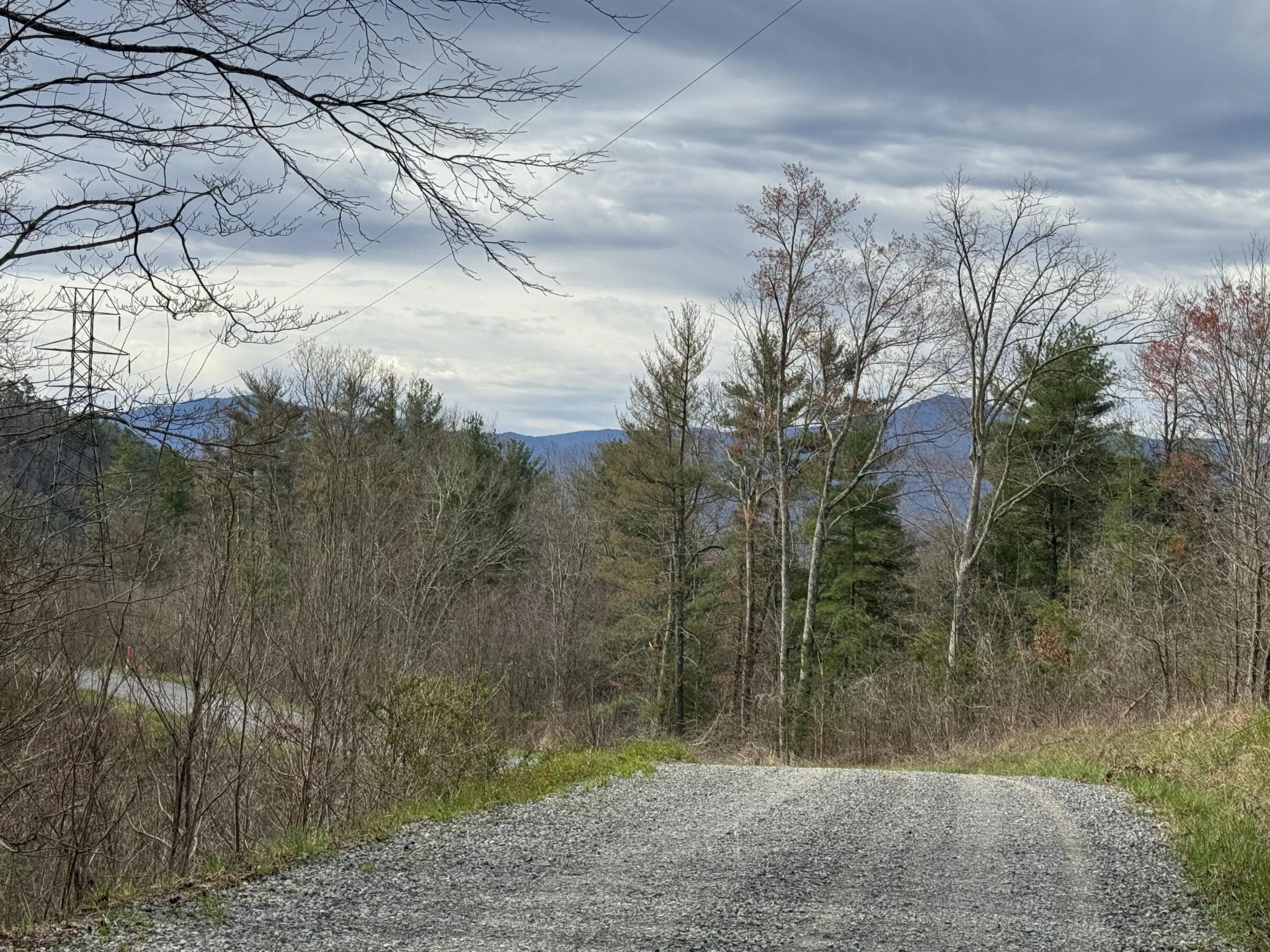 4238 Ridge Road Hartford, TN 37753 - Photo 4 of 41 Gallery Image 4