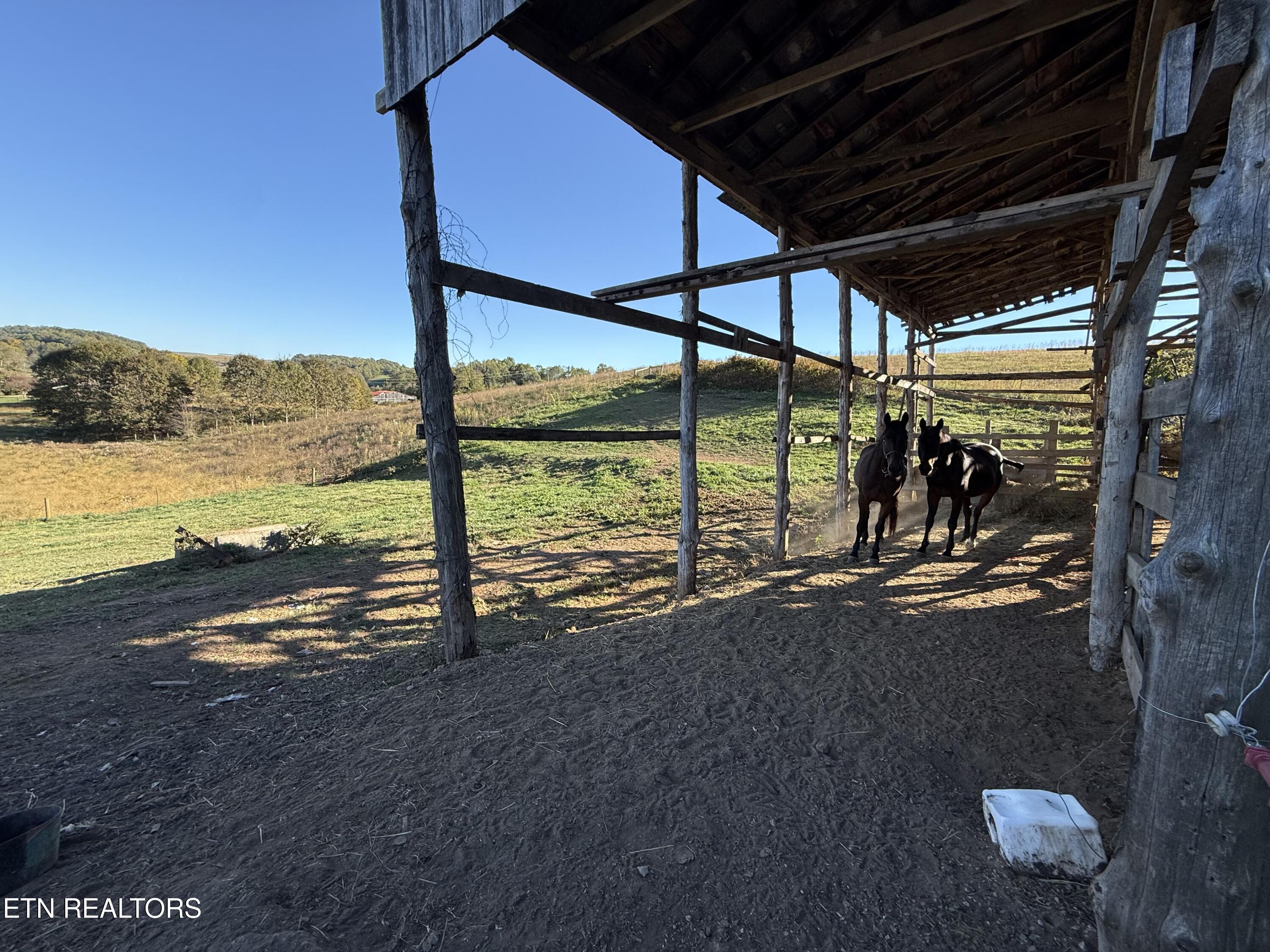 1834 Balls Chapel Road Rose Hill, VA 24281 - Photo 26 of 27 IMG_1499