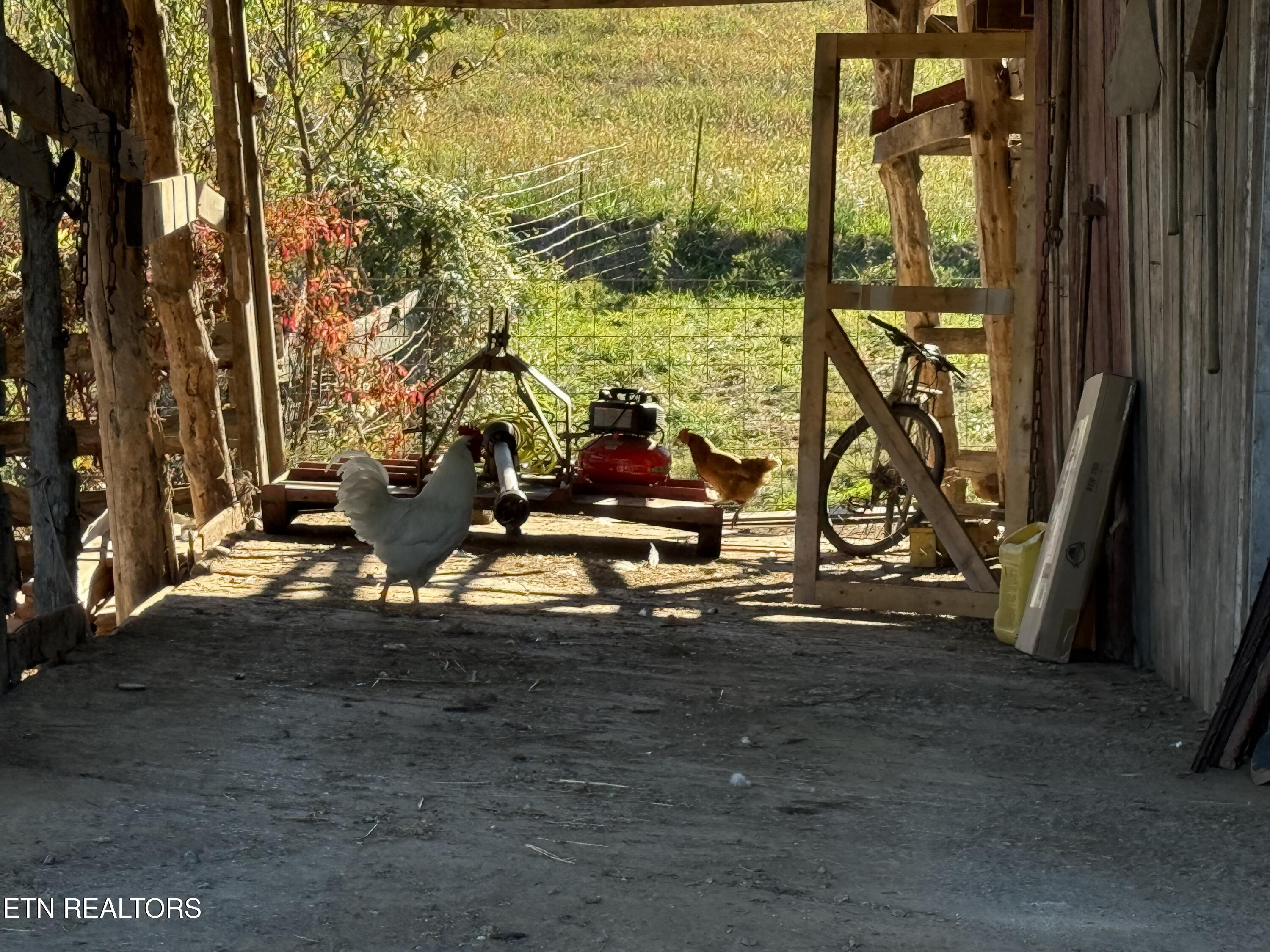 1834 Balls Chapel Road Rose Hill, VA 24281 - Photo 27 of 27 IMG_1453