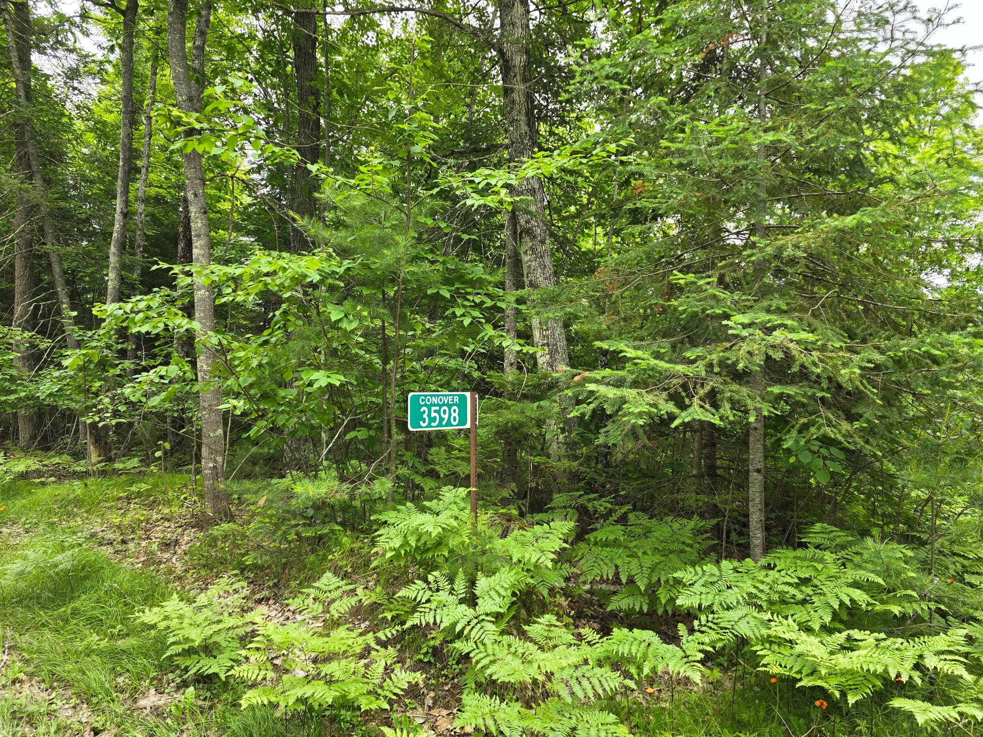 3598 Monheim Road Conover, WI 54519 - Photo 30 of 37 Gallery Image 30