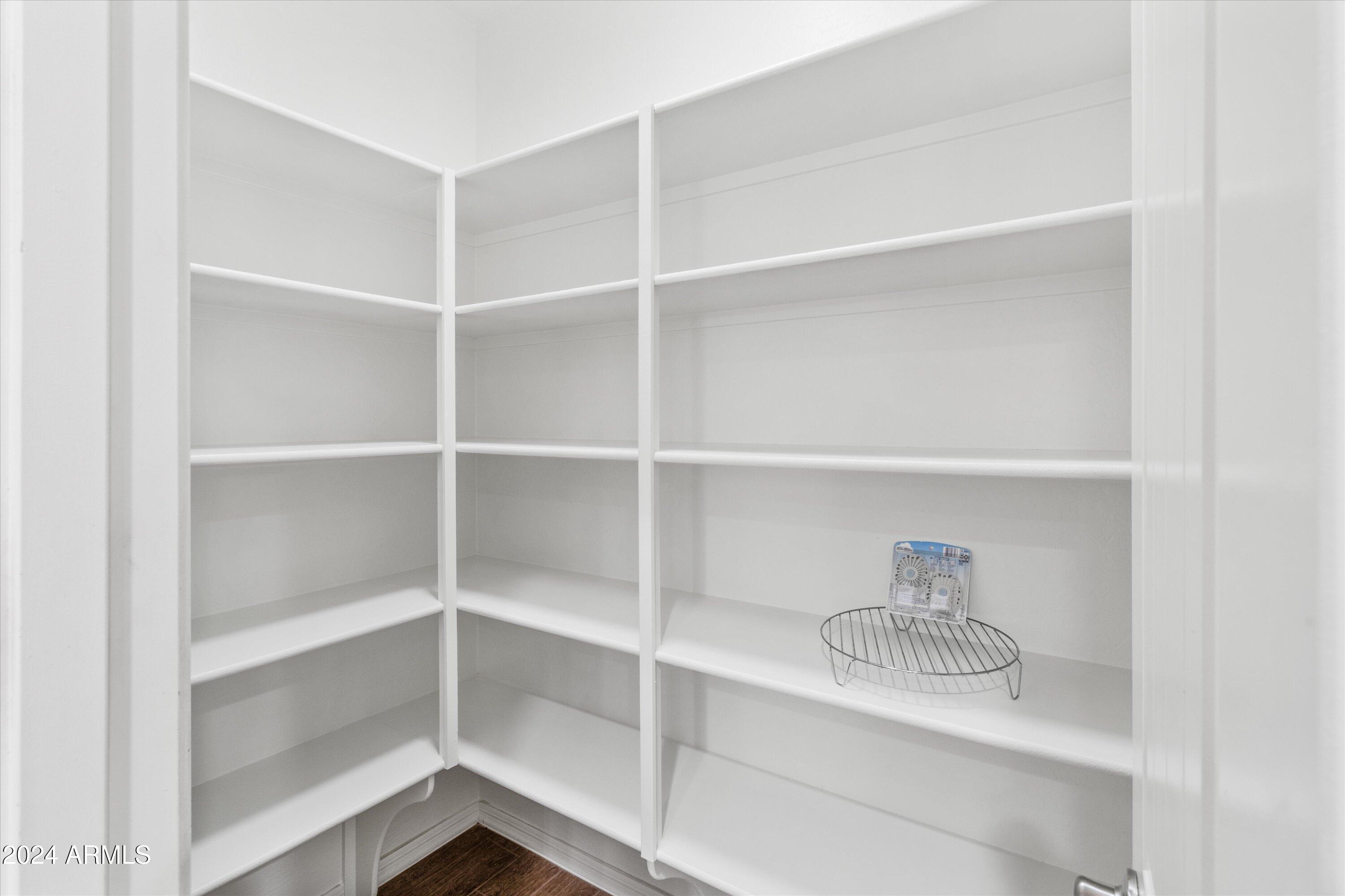1463 East Warbler Road Gilbert, AZ 85297 - Photo 14 of 50 Walk-in Pantry