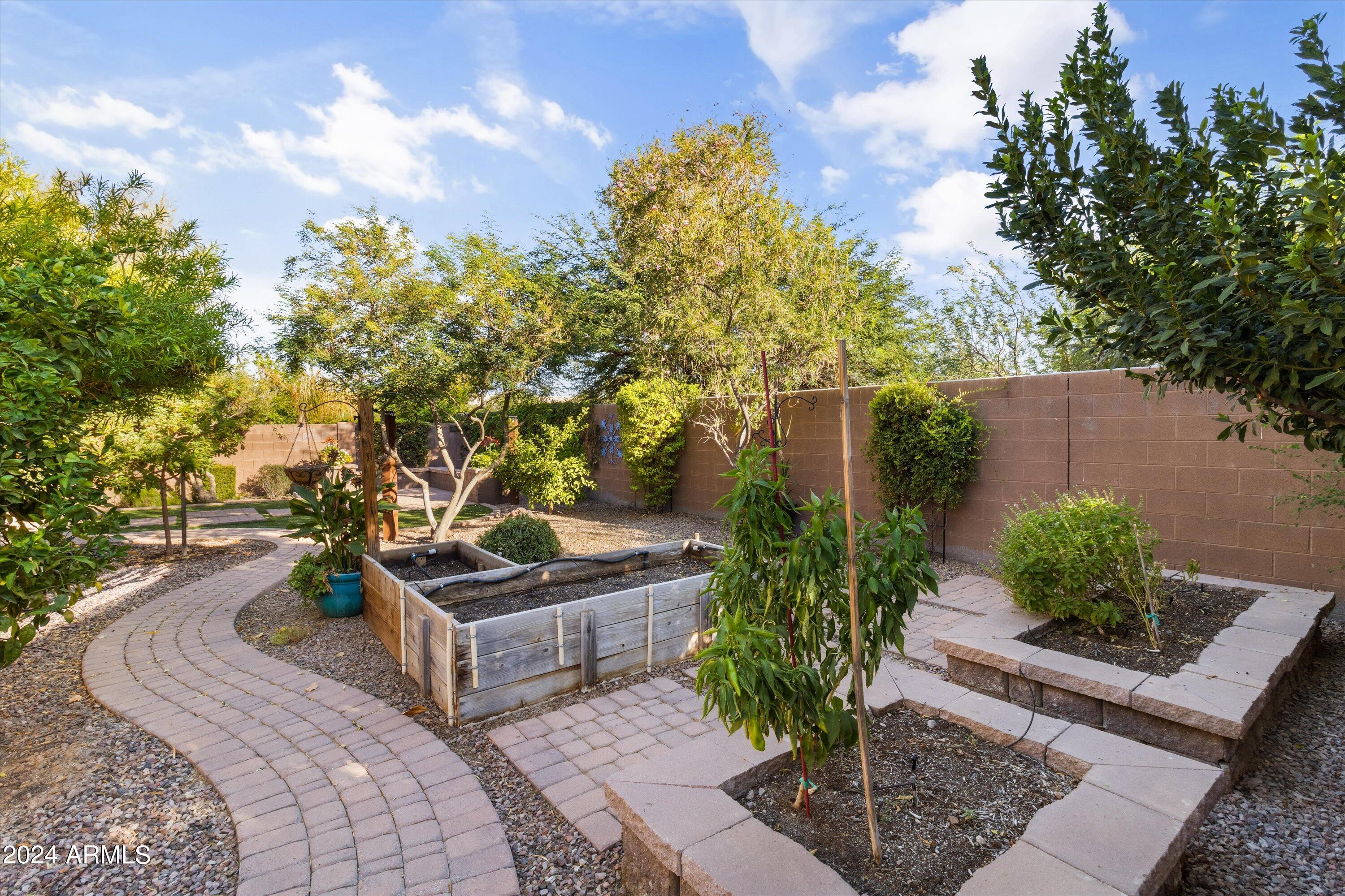 1463 East Warbler Road Gilbert, AZ 85297 - Photo 42 of 50 Garden Area