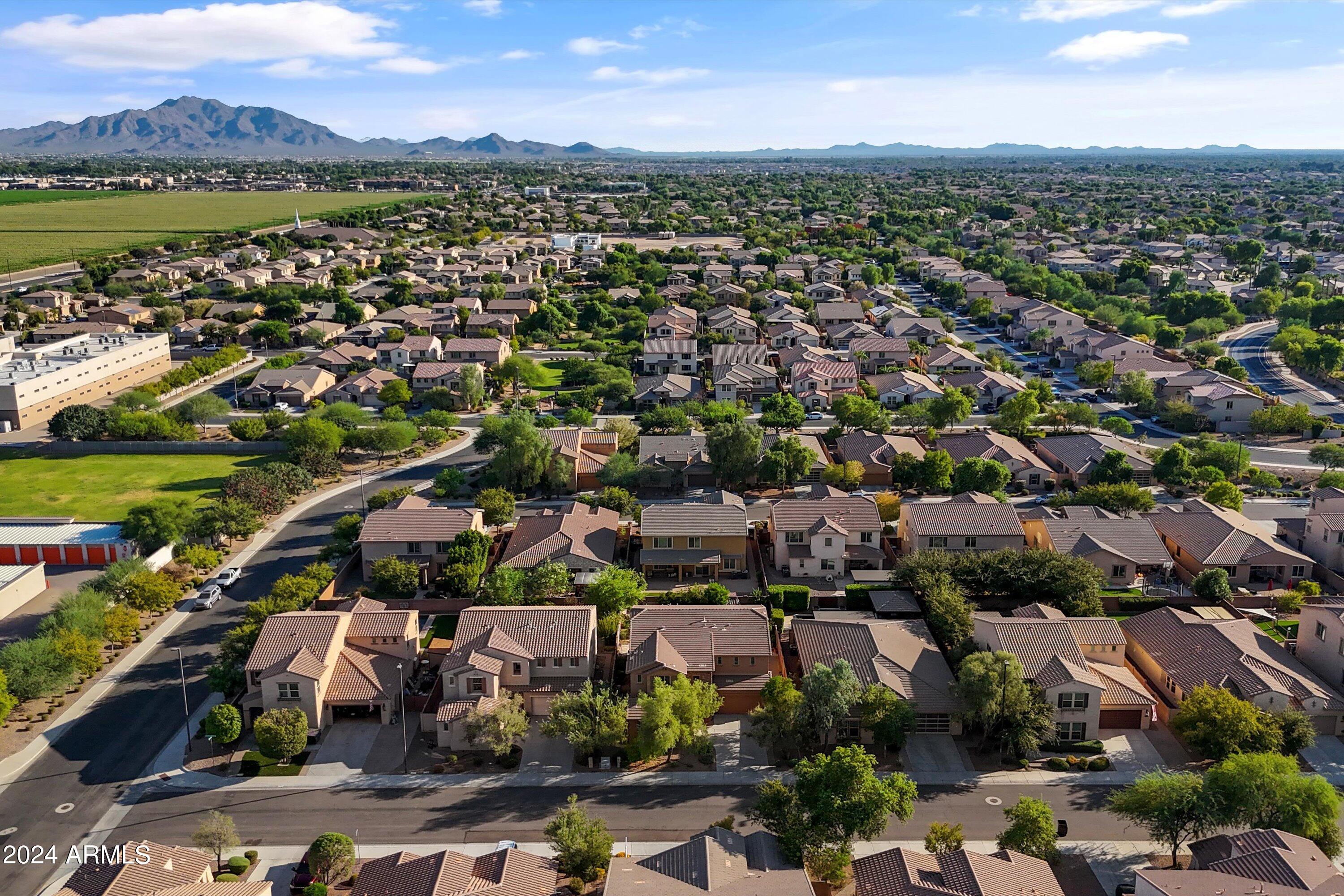 1463 East Warbler Road Gilbert, AZ 85297 - Photo 49 of 50 Mountain Views