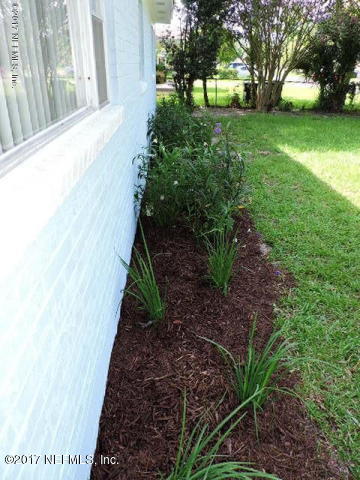410 Skate Road Atlantic Beach, FL 32233 - Photo 26 of 31 a view of a yard with plants and trees