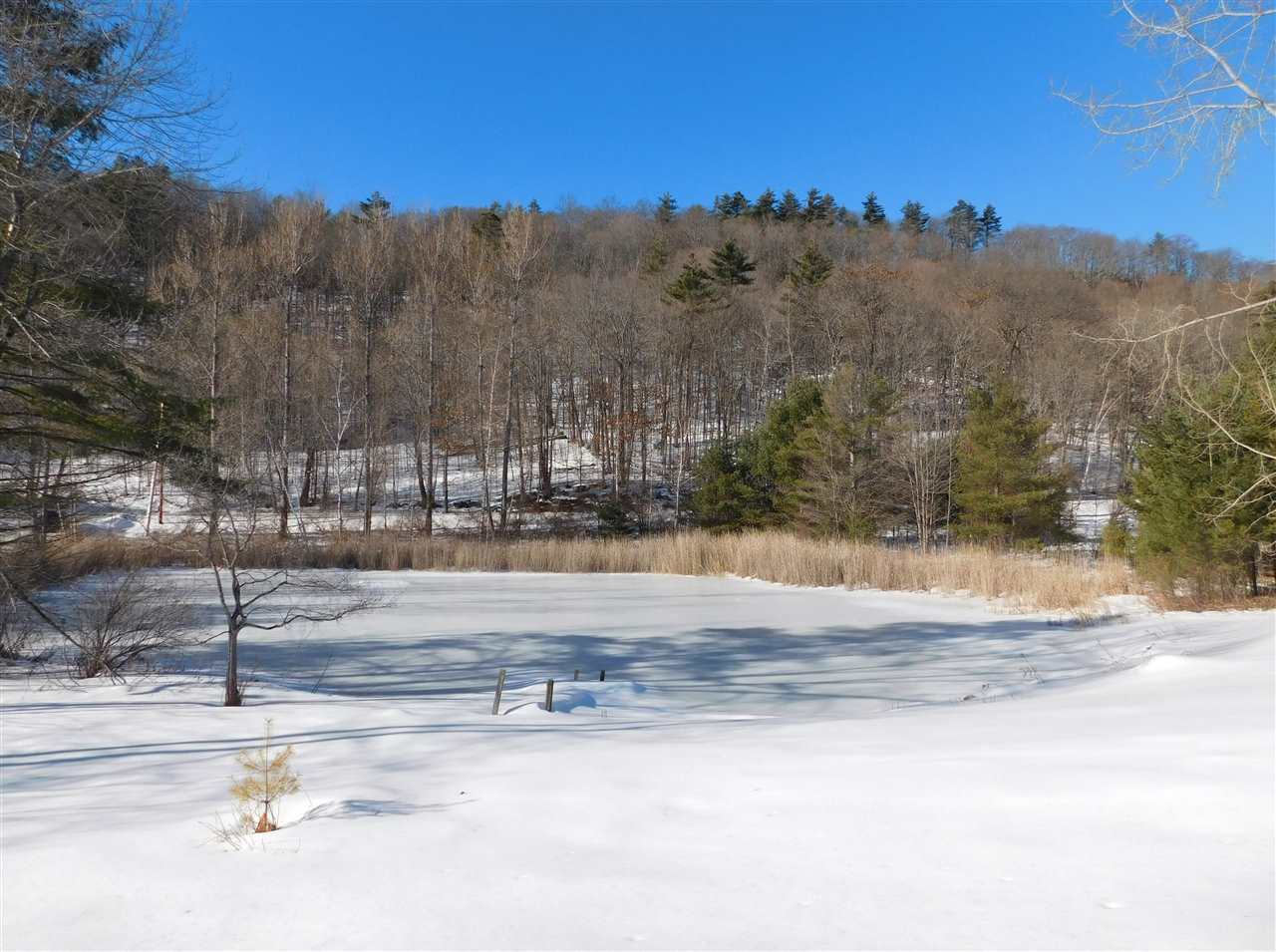 1024 New Boston Road Norwich, VT 05055 - Photo 29 of 38