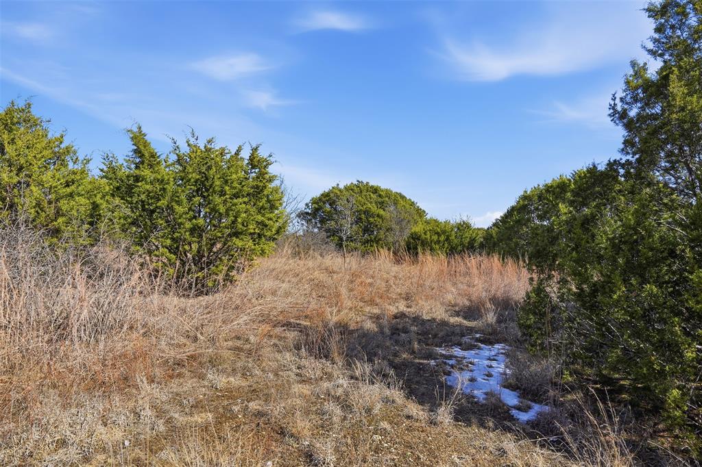 3123 Rio Grande Circle Cresson, TX 76035 - Photo 4 of 8