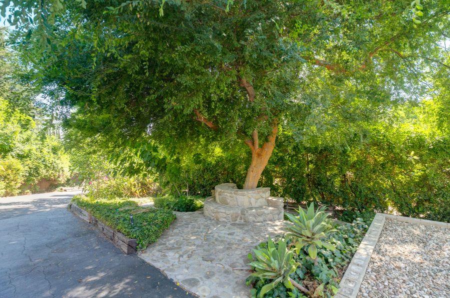 1195 Rancho Court Ojai, CA 93023 - Photo 47 of 49 a view of a garden with plants