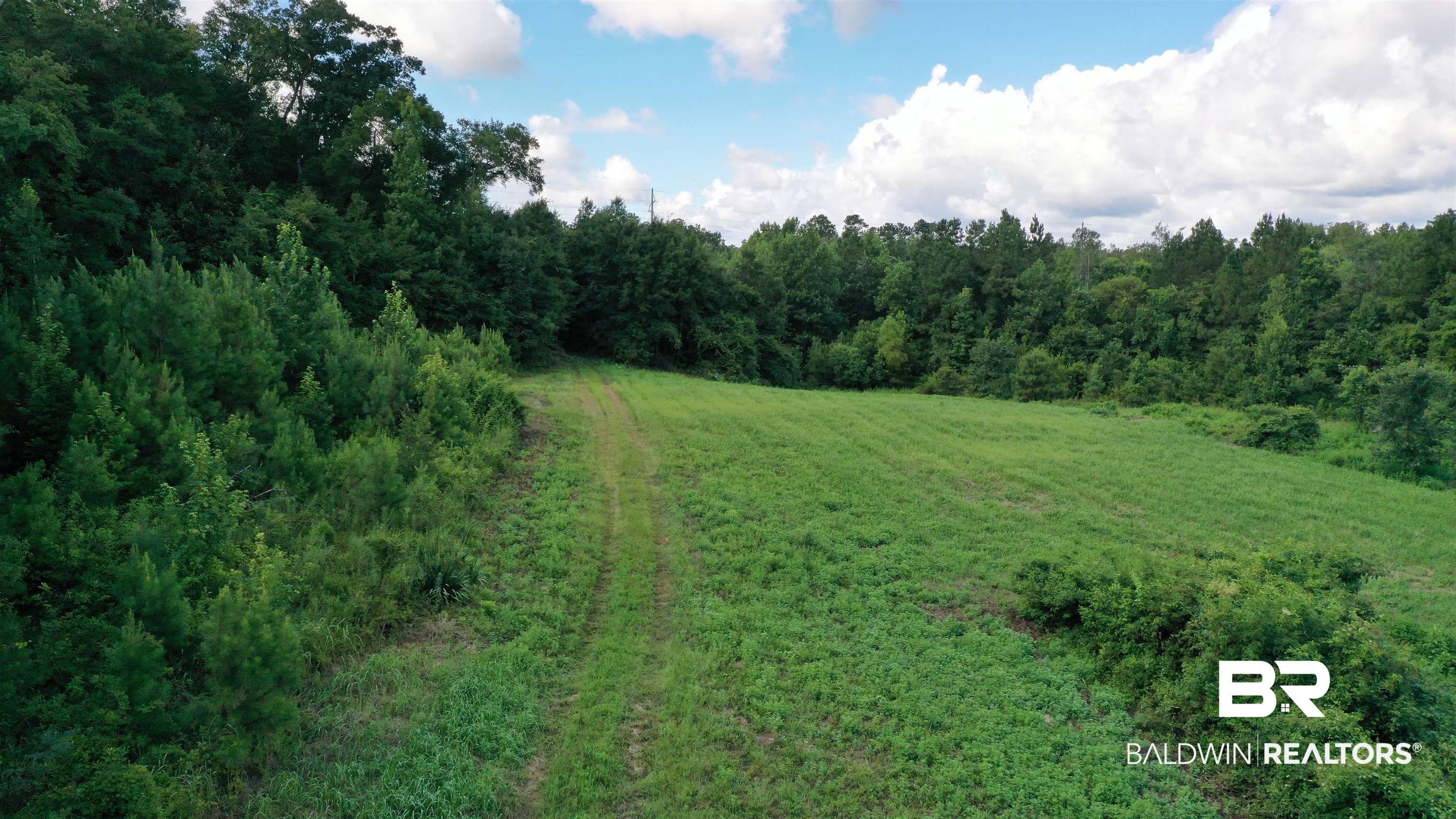 1 Highway 4 Jay, FL 32565 - Photo 19 of 50