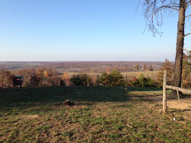 14674 Castleberry-Crofton Road Crofton, KY 42217 - Photo 3 of 12 Gallery Image 3