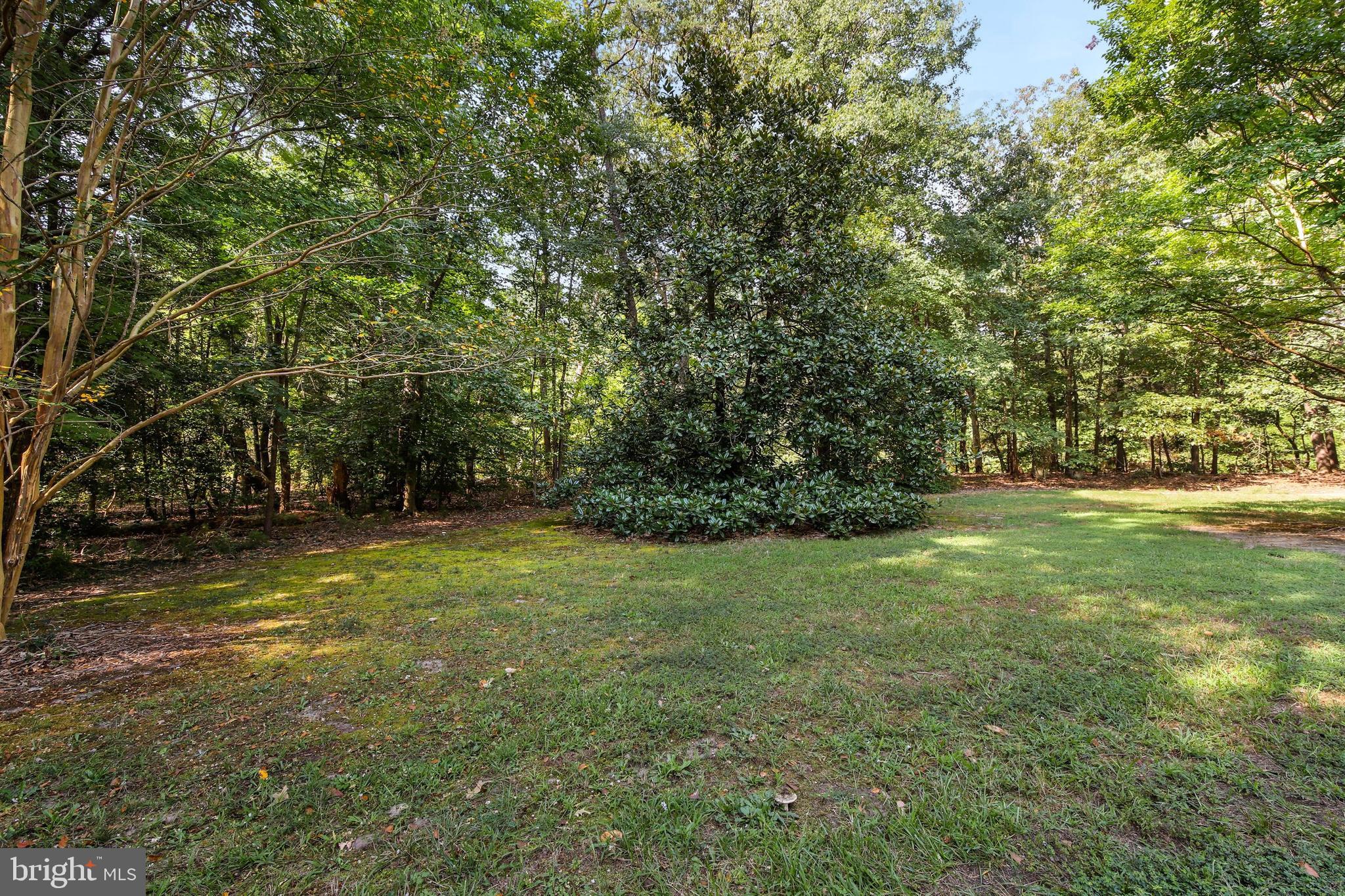 10421 Tetotum Road King George, VA 22485 - Photo 50 of 53 Gallery Image 50