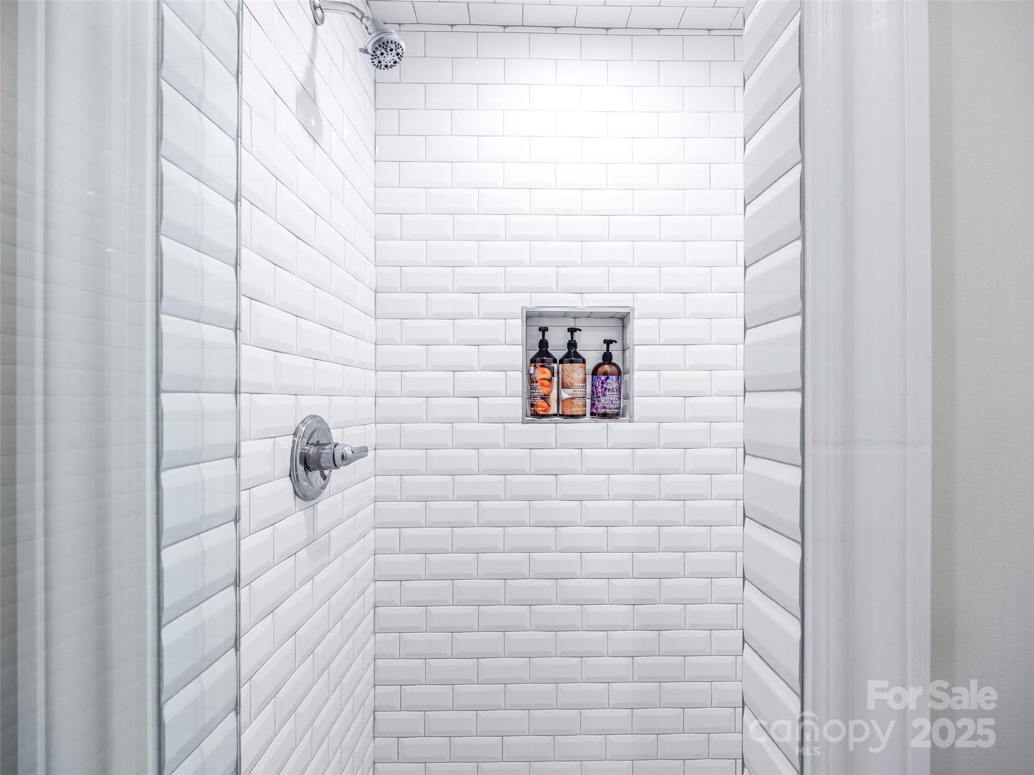 26 Cook Lane Mills River, NC 28759 - Photo 36 of 48