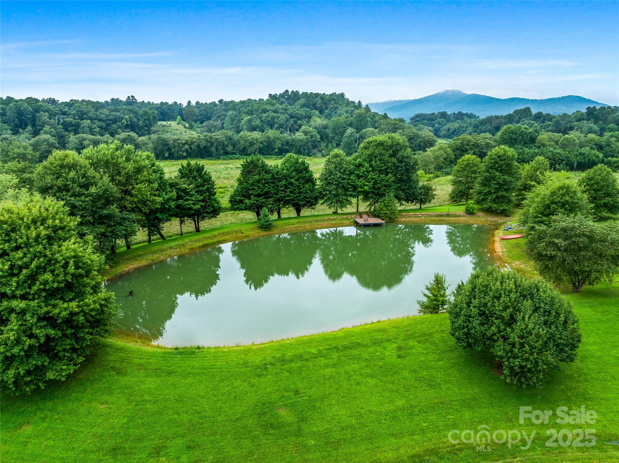 26 Cook Lane Mills River, NC 28759 - Photo 8 of 48