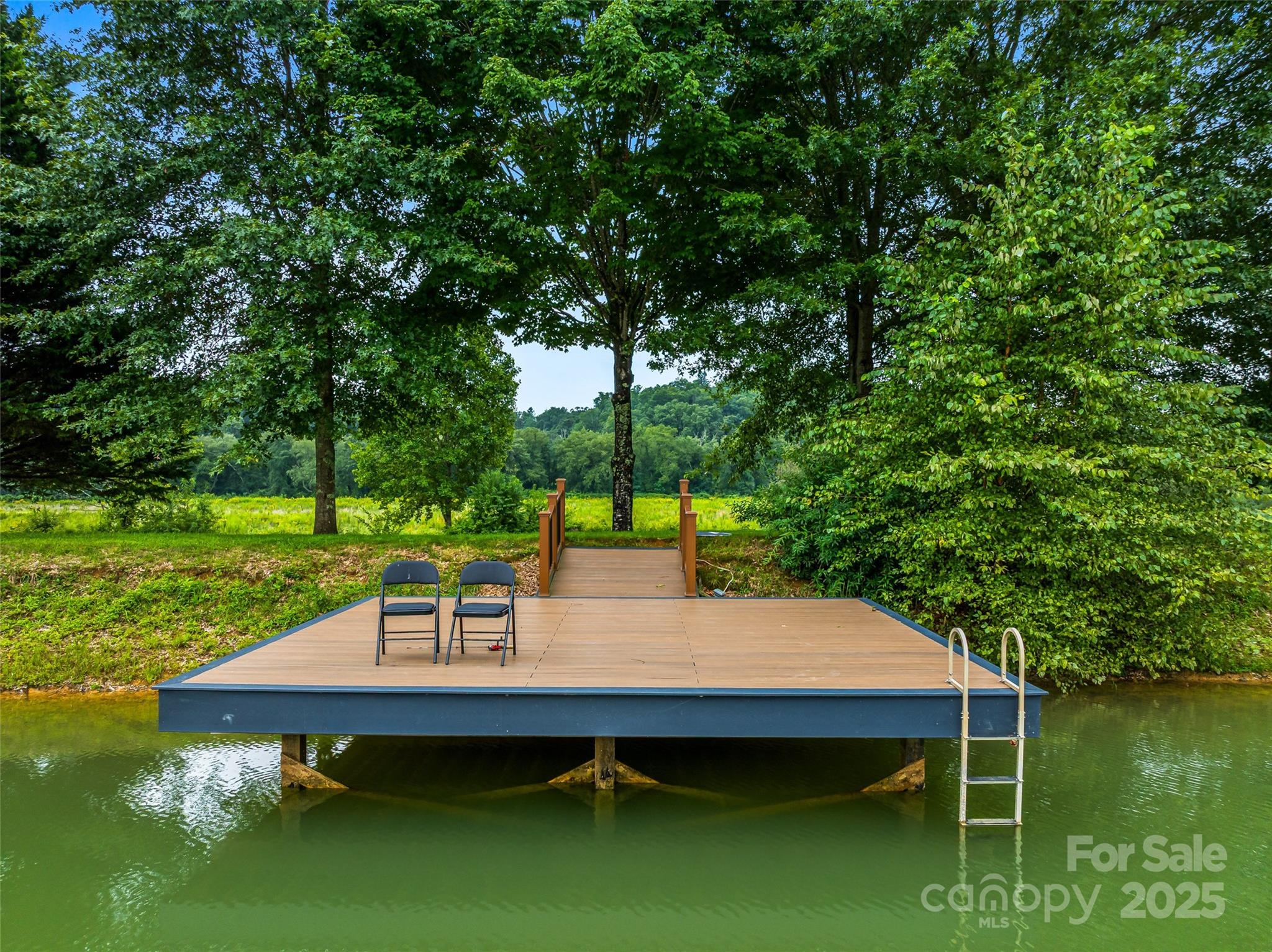 26 Cook Lane Mills River, NC 28759 - Photo 10 of 48