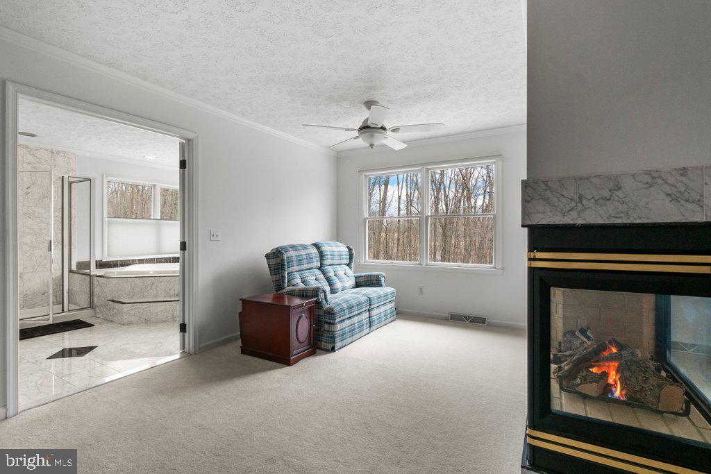 1633 Freeland Road Freeland, MD 21053 - Photo 41 of 73 a living room with furniture and a fireplace