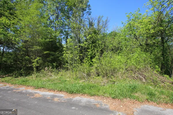a view of a yard with plants and trees beside of it