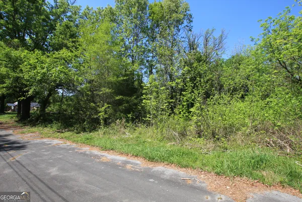 a view of a yard with plants and trees