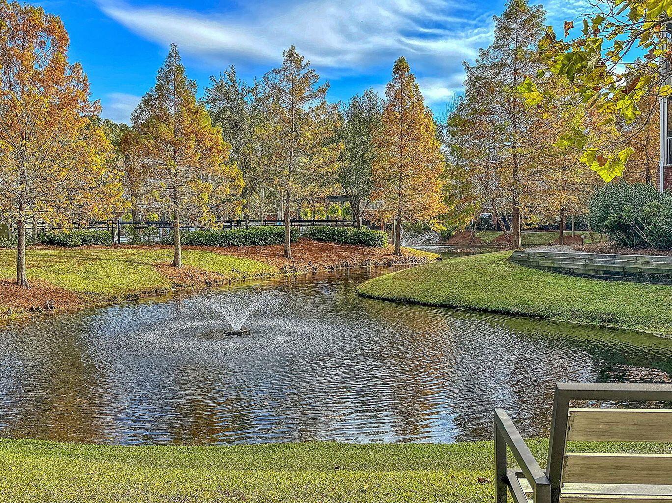 1301 Basildon Road Mount Pleasant, SC 29466 - Photo 25 of 33 Pond