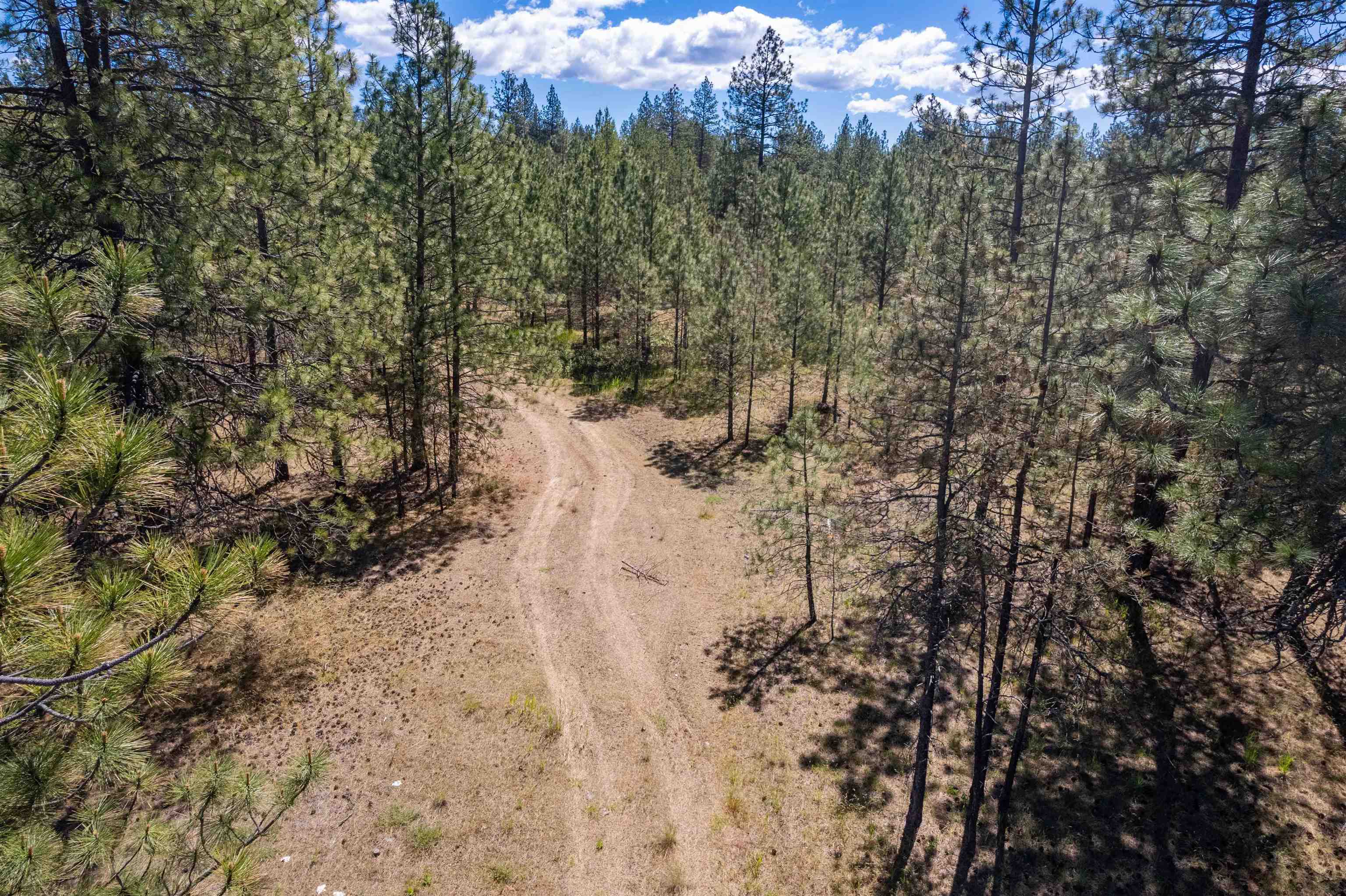 29-xxx North Hardesty Road Chattaroy, WA 99003 - Photo 9 of 40