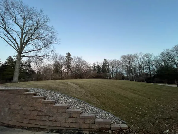 a view of dirt field with trees