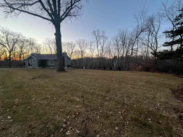 a view of a yard with trees