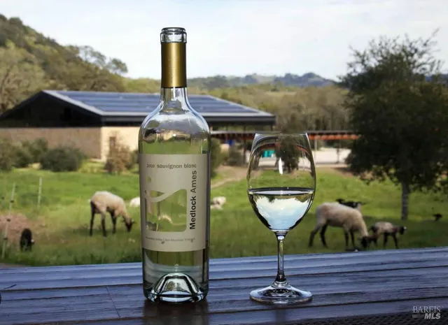 a swimming pool with some trees in the background