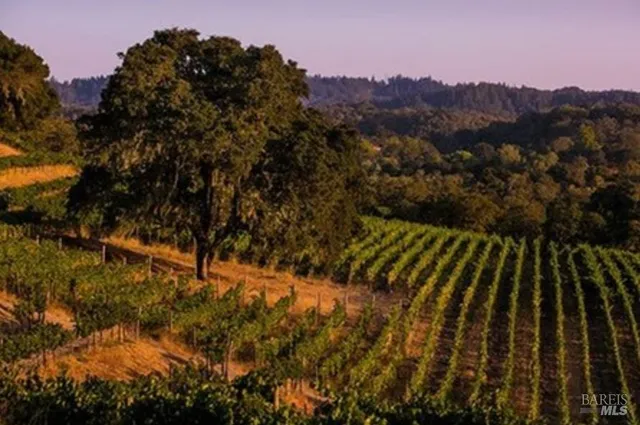 a view of yard with swimming pool