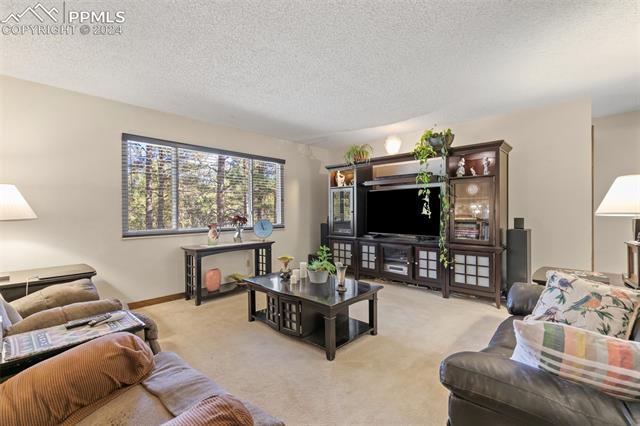 8075 Cyprus Road Colorado Springs, CO 80908 - Photo 3 of 40