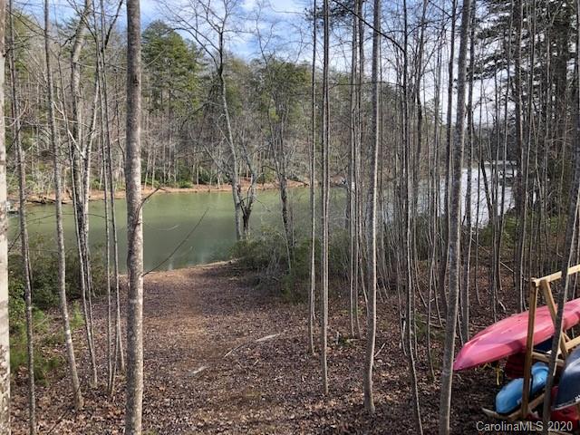 1906 Parkway North Rd Mill Spring Mill Spring, NC 28756 - Photo 7 of 18