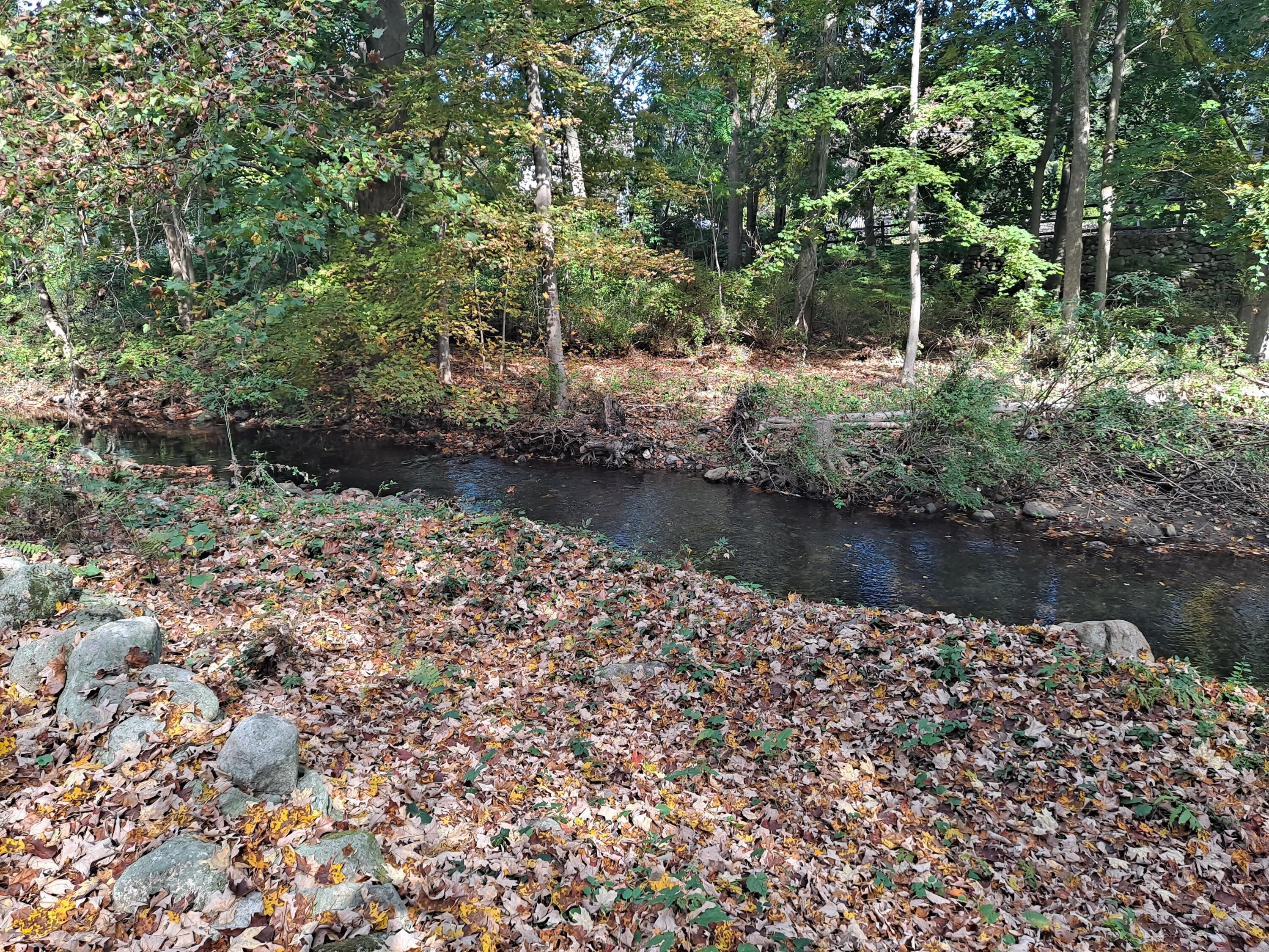 24 White Oak Shade Road New Canaan, CT 06840 - Photo 1 of 13 a view of lake with green space