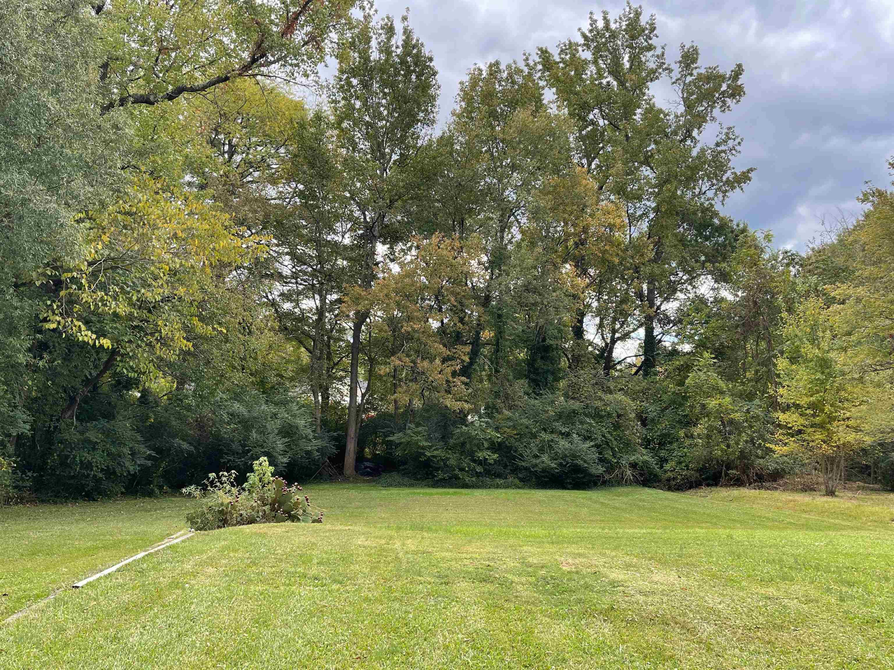 2534 Ross Road Durham, NC 27703 - Photo 6 of 18 a view of a field with trees in front of it