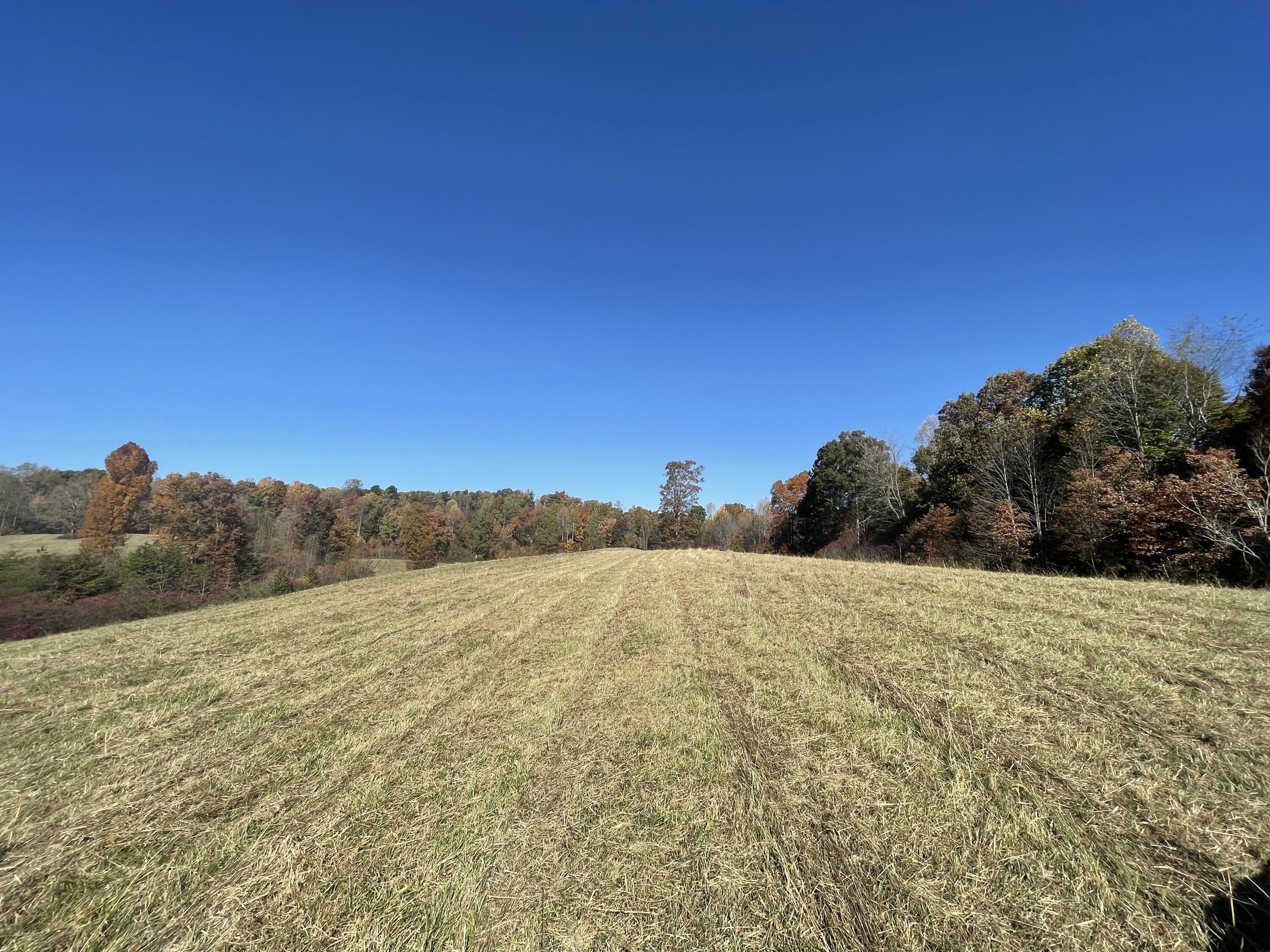 9999 Burnett Road London, KY 40744 - Photo 4 of 44 IMG_4197