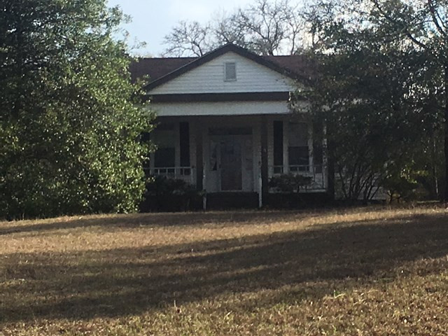 Main View