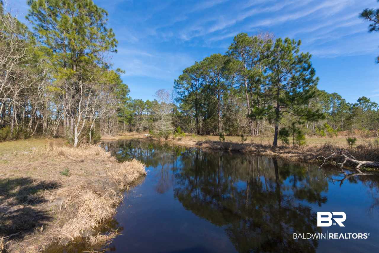 21801 County Road 28 Foley, AL 36535 - Photo 17 of 41