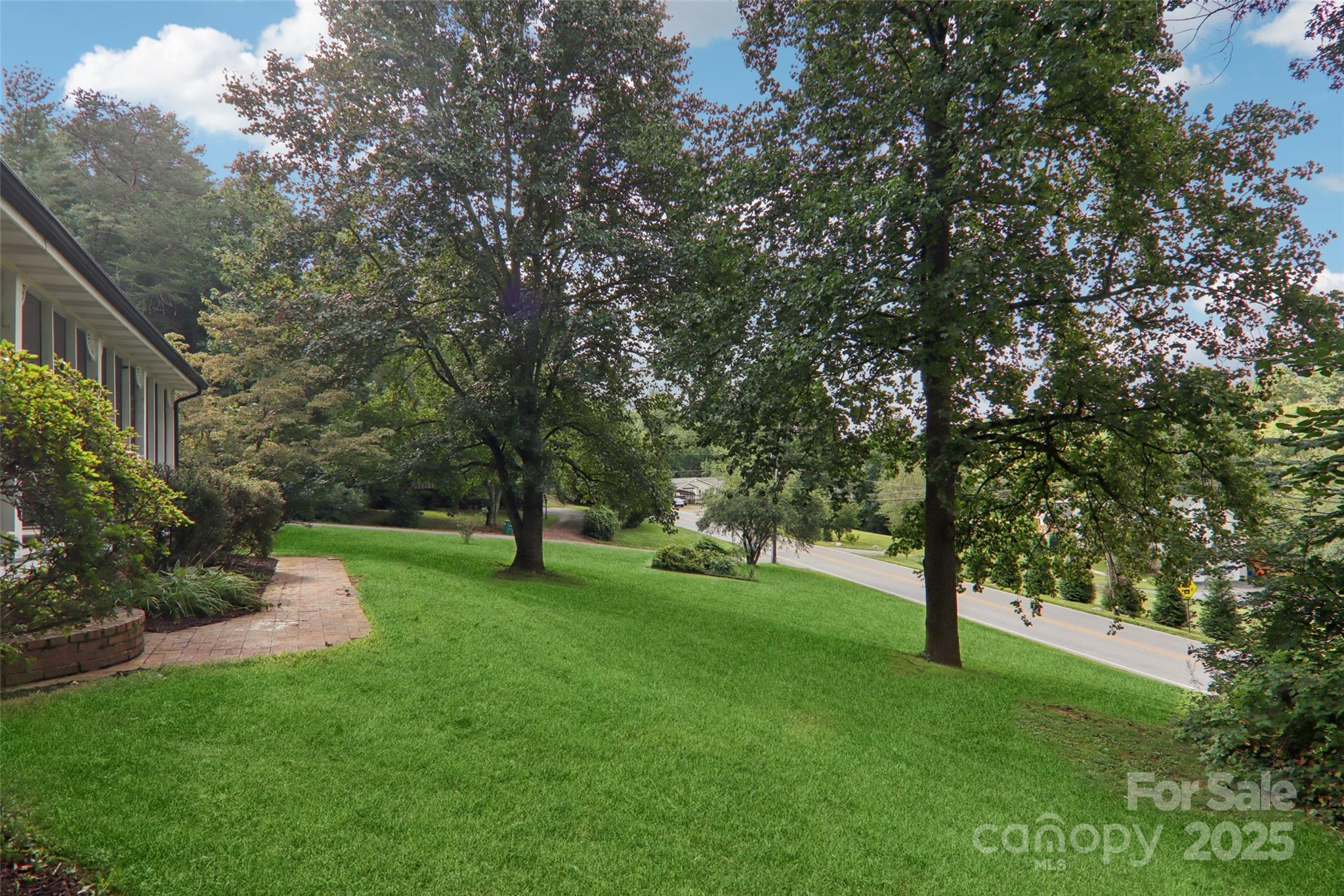 5 Timothy Lane Candler, NC 28715 - Photo 46 of 48 a view of an trees with a house