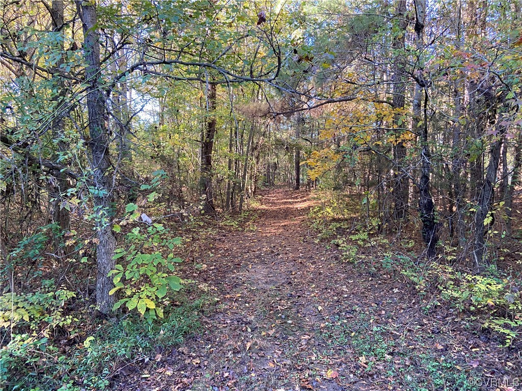0 Parsons Road Beaverdam, VA 23015 - Photo 1 of 7 a view of outdoor space and trees