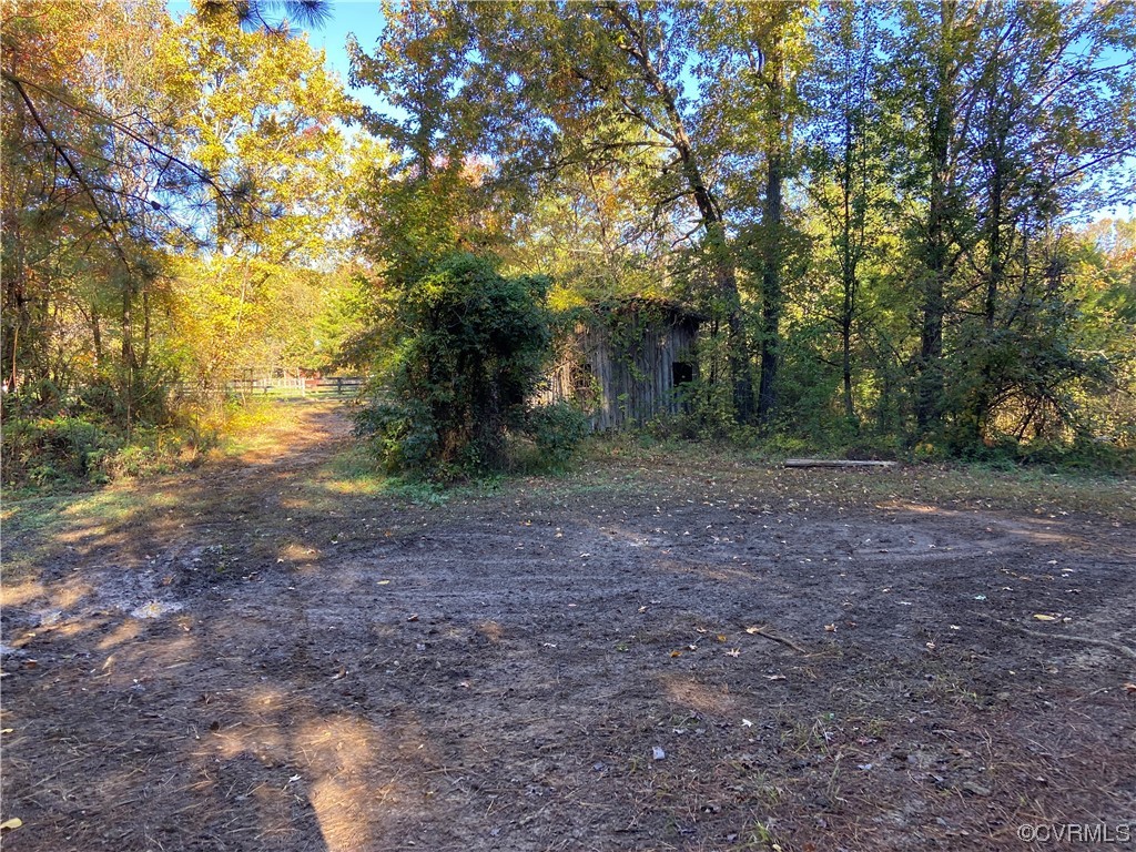 0 Parsons Road Beaverdam, VA 23015 - Photo 3 of 7 a view of a yard with a tree