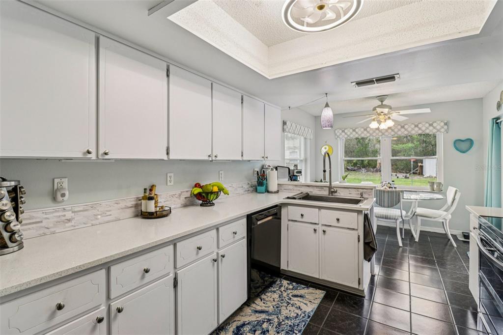 2963 Southwest 137th Place Ocala, FL 34473 - Photo 15 of 51 a kitchen with a sink and cabinets