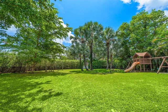 a view of a park with plants and large trees