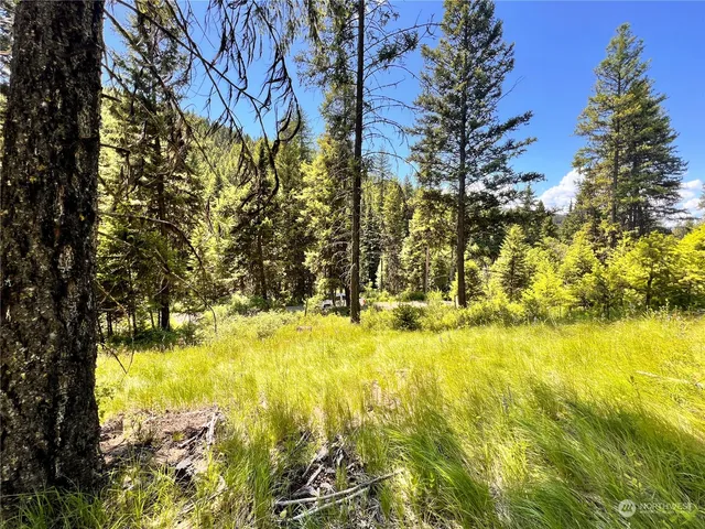 a view of a yard with trees