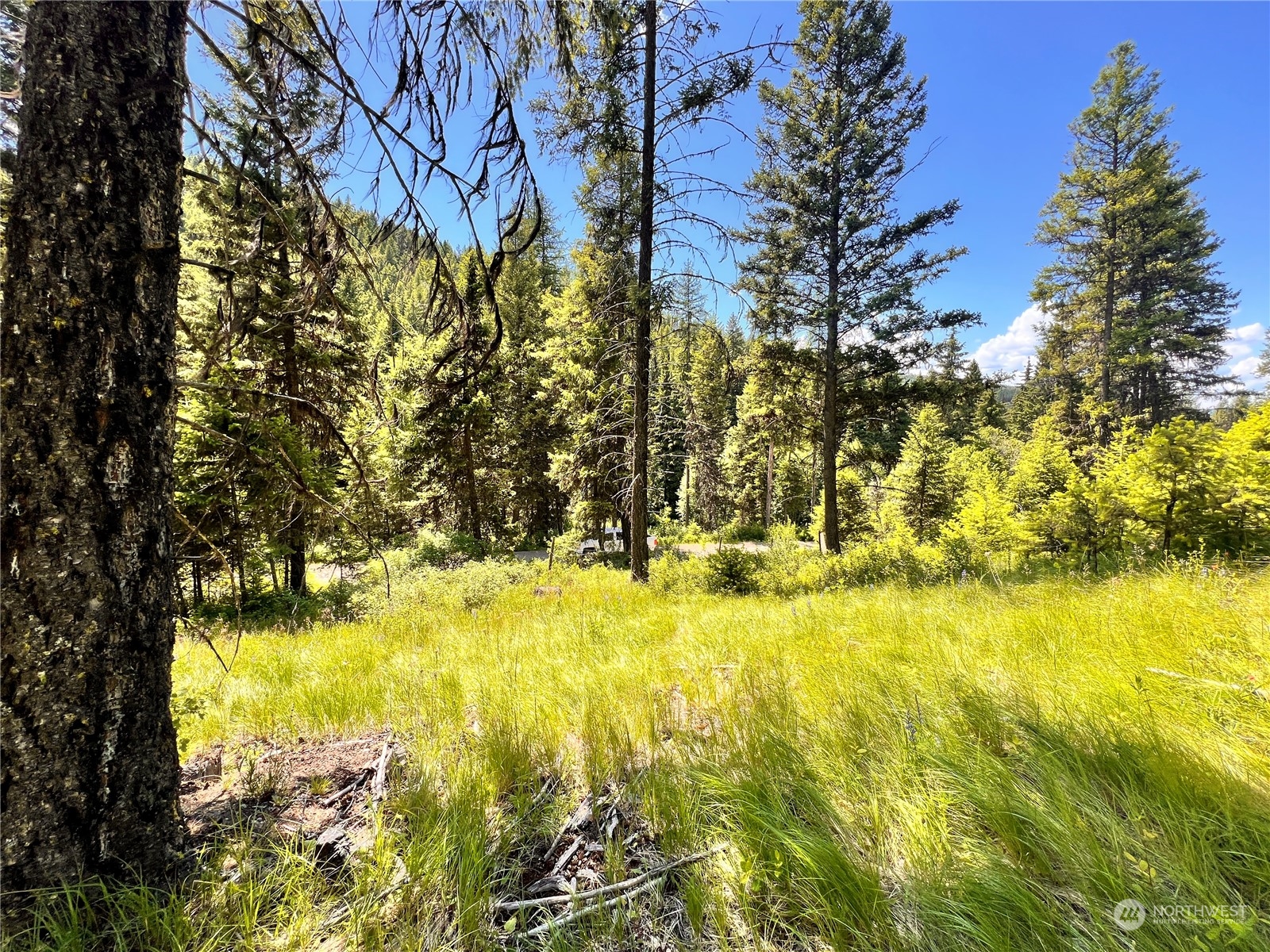-tbd Old Kettle Falls Road Republic, WA 99166 - Photo 14 of 26 a view of swimming pool with an outdoor space and seating area