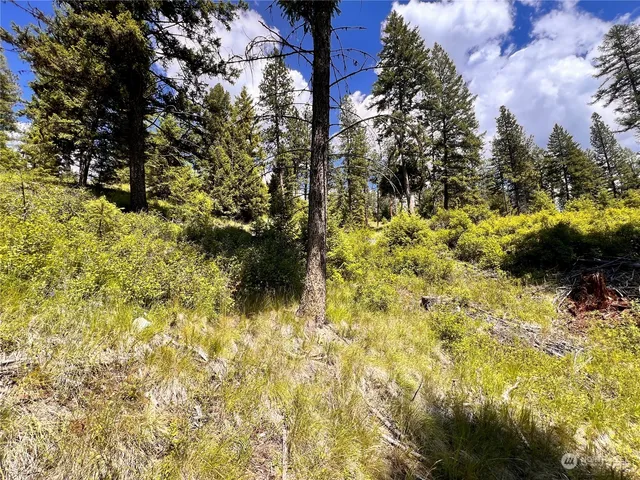 a view of outdoor space with a tree