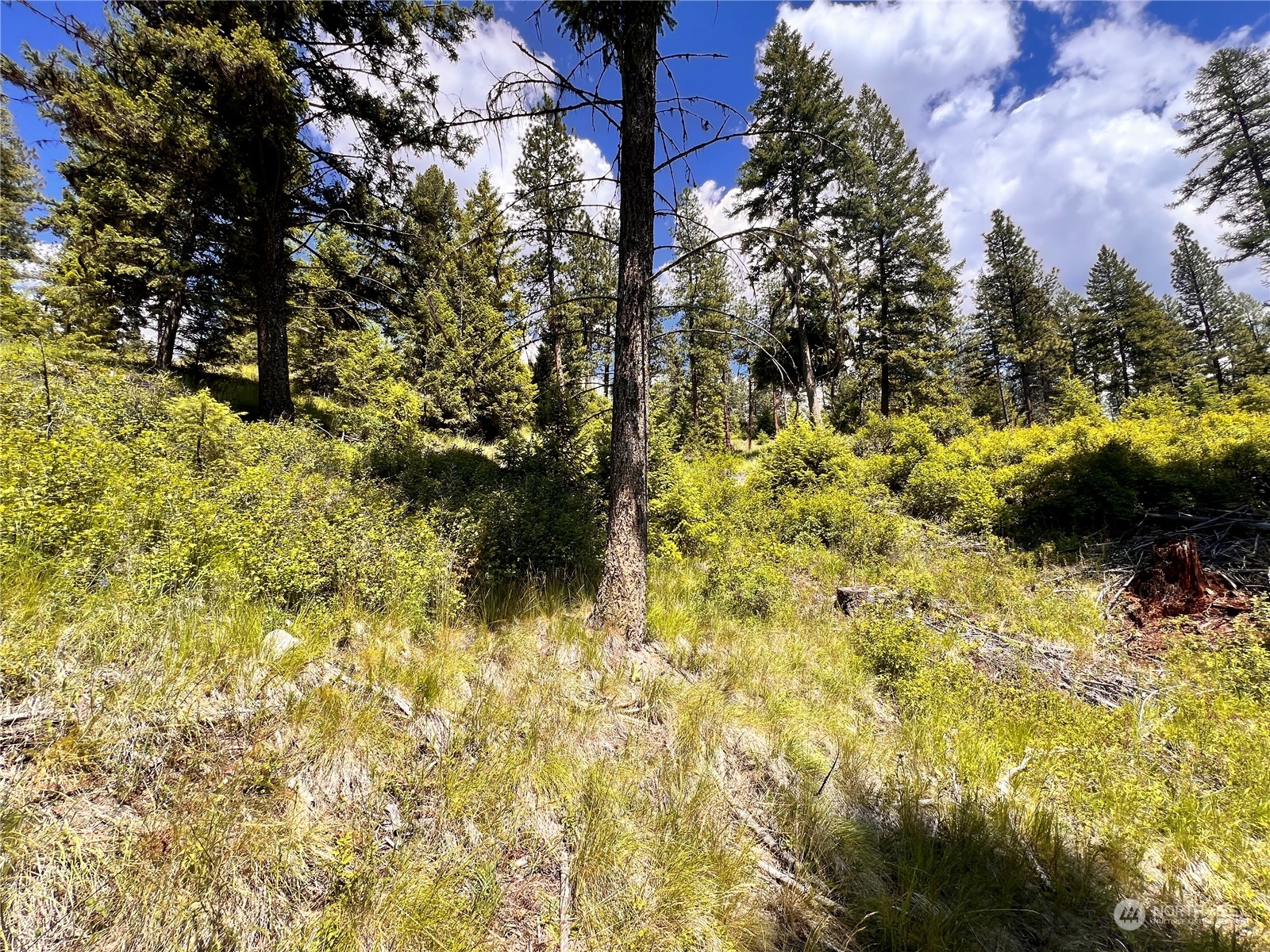 -tbd Old Kettle Falls Road Republic, WA 99166 - Photo 15 of 26 a view of outdoor space with a garden