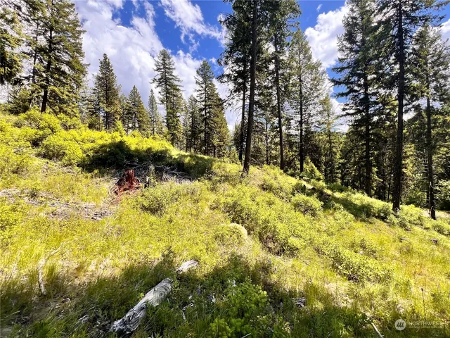 a view of yard covered with snow