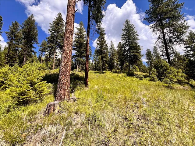 a view of residential houses with yard